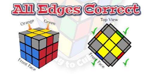 How to Solve a Rubik's Cube, Learning to Cube, Rubik's Cube Website, Speedcubers Website, all edges correct on yellow cross, 