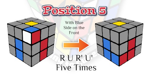 How to Solve a Rubik's Cube, Learning to Cube, Rubik's Cube Website, Speedcubers Website,