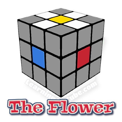 how to solve a rubik's cube, making the white flower, solving the white cross, beginners method